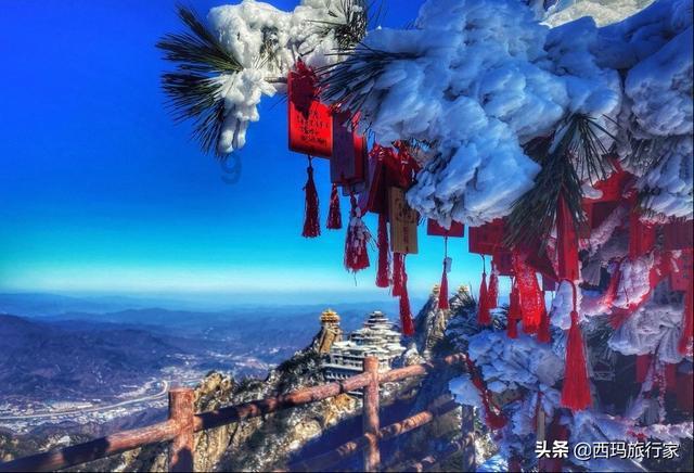 沪江开心词场